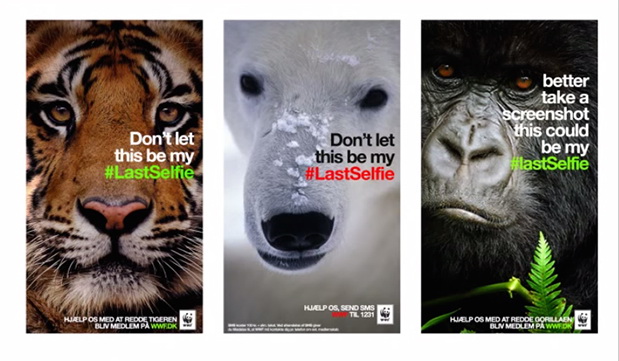 Selfie for powerful animal awareness campaigns?
