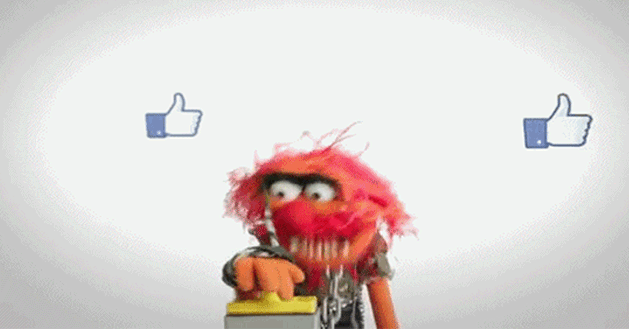 social networks