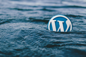 WordPress security