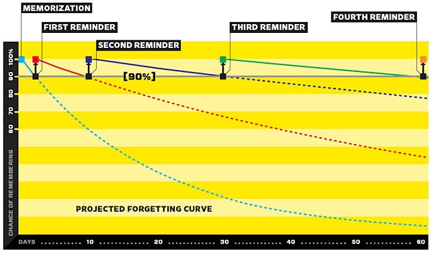 The Human Memory Graph