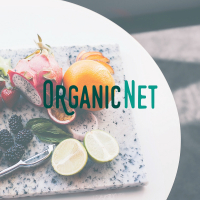 OrganicNet at the conference about entrepreneurship