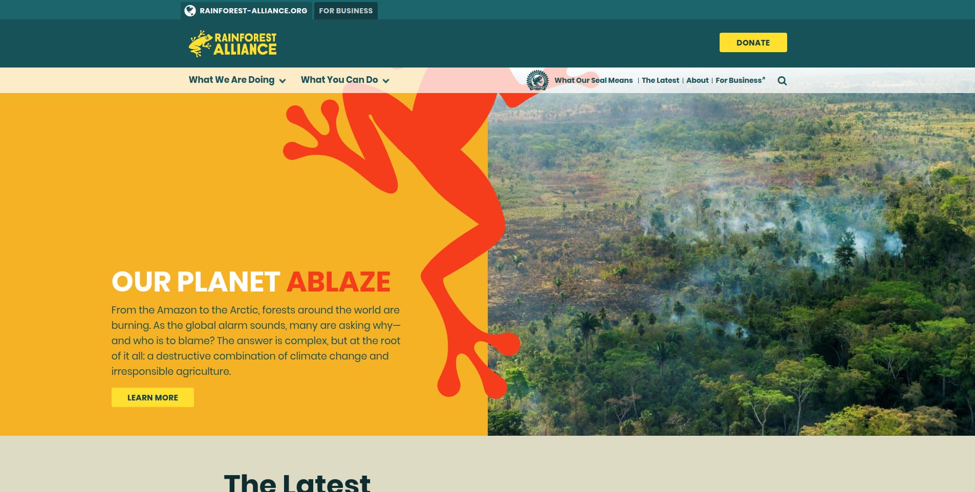 Rainforest alliance website