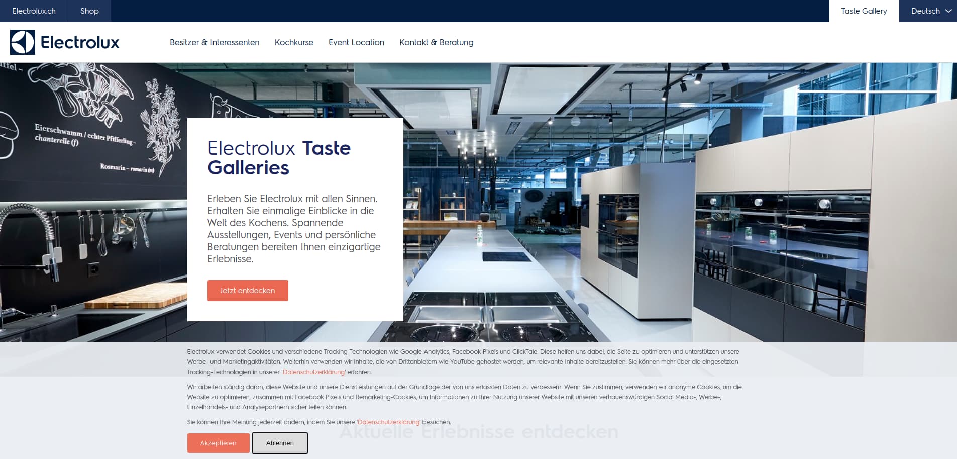 Electrolux Taste Gallery website