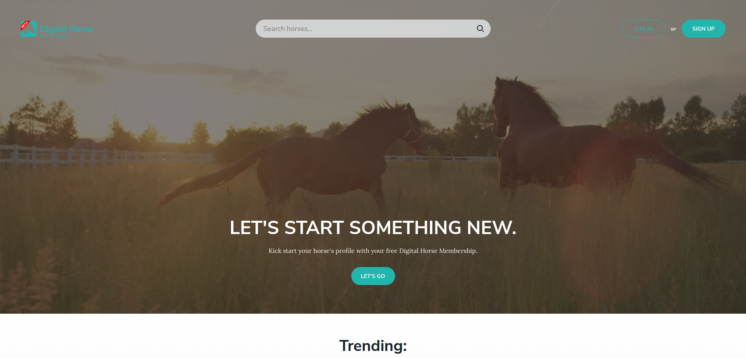 digital horse community digital horse community