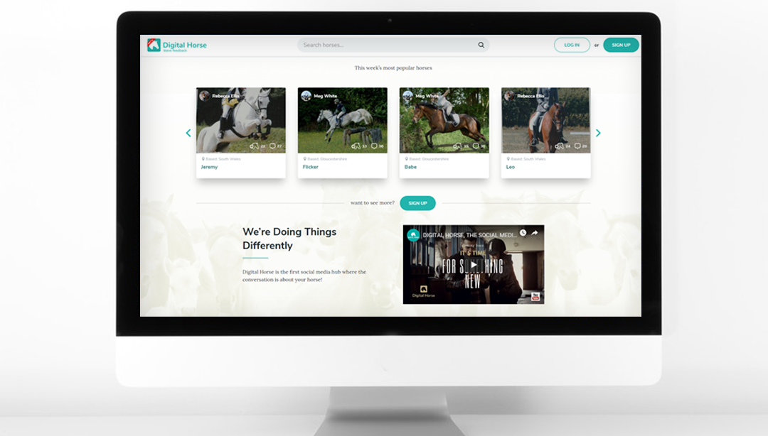 Digital Horse minimalism style website