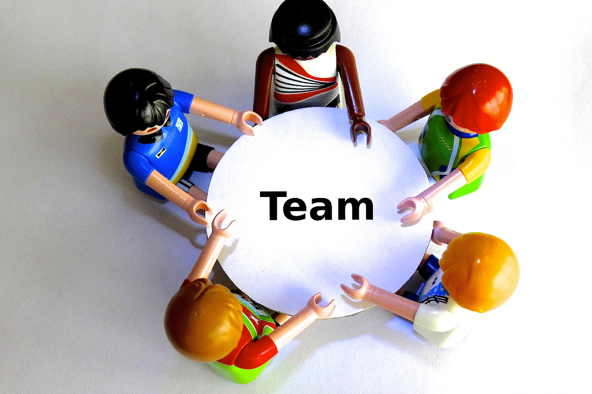 Team organisation and benefits from knowledge networks