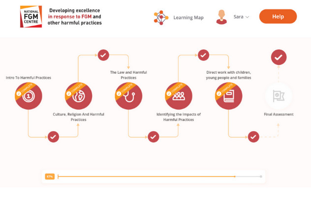 Harmful Practices eLearning