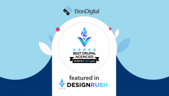 Best Drupal Companies