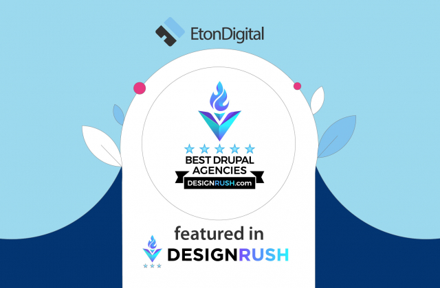 Best Drupal Companies