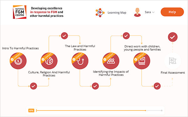 Harmful practices elearning